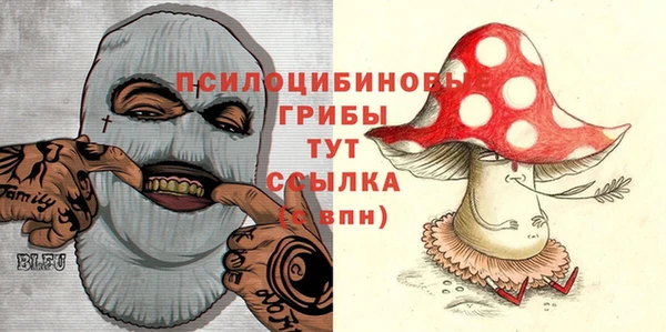 дмт Абаза