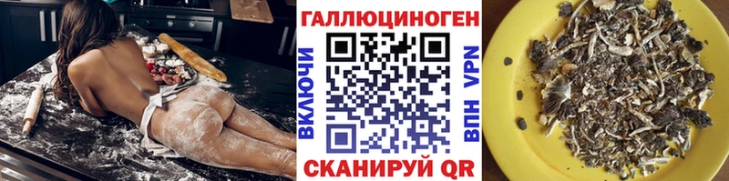 Псилоцибиновые грибы Psilocybe  Кохма 